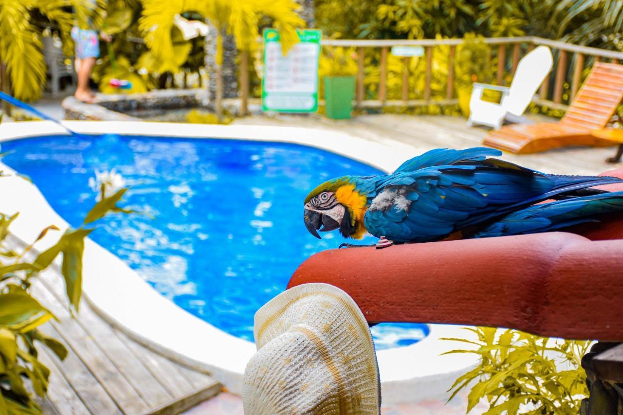 Casa Hostal Villa Del Rio Эль-Саино Экстерьер фото